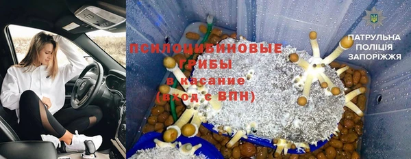 прущий лед Белокуриха