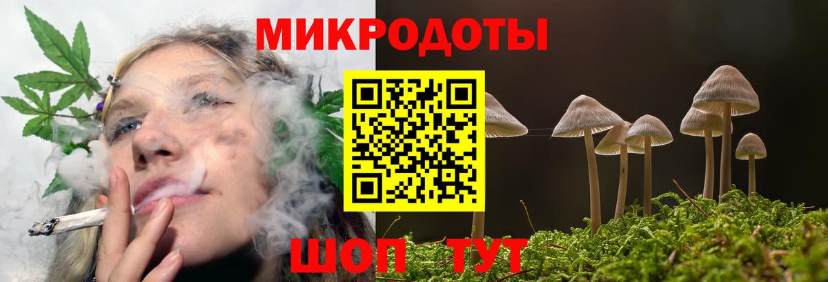 Галлюциногенные грибы Psilocybine cubensis Маркс